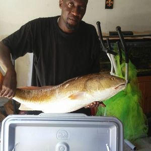 Meet your Posher, Damion